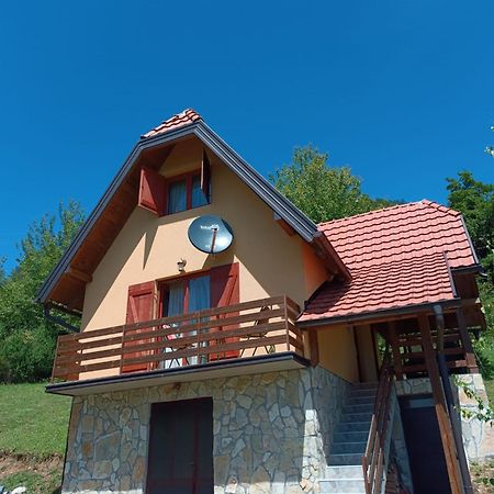 Vila Mitrovic Bajina Basta Exterior photo